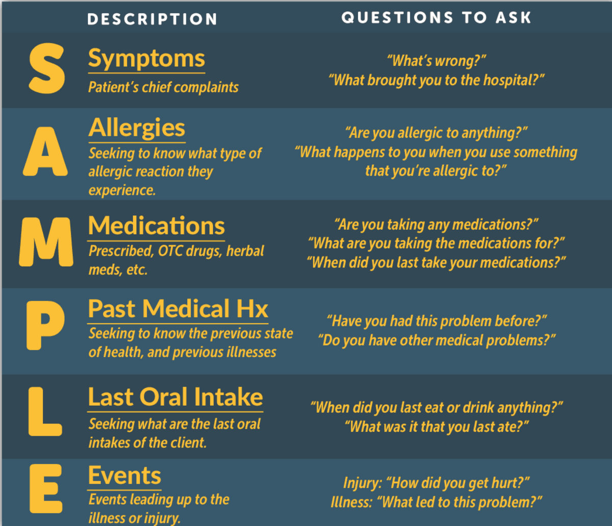 Anatomy and patient assessment