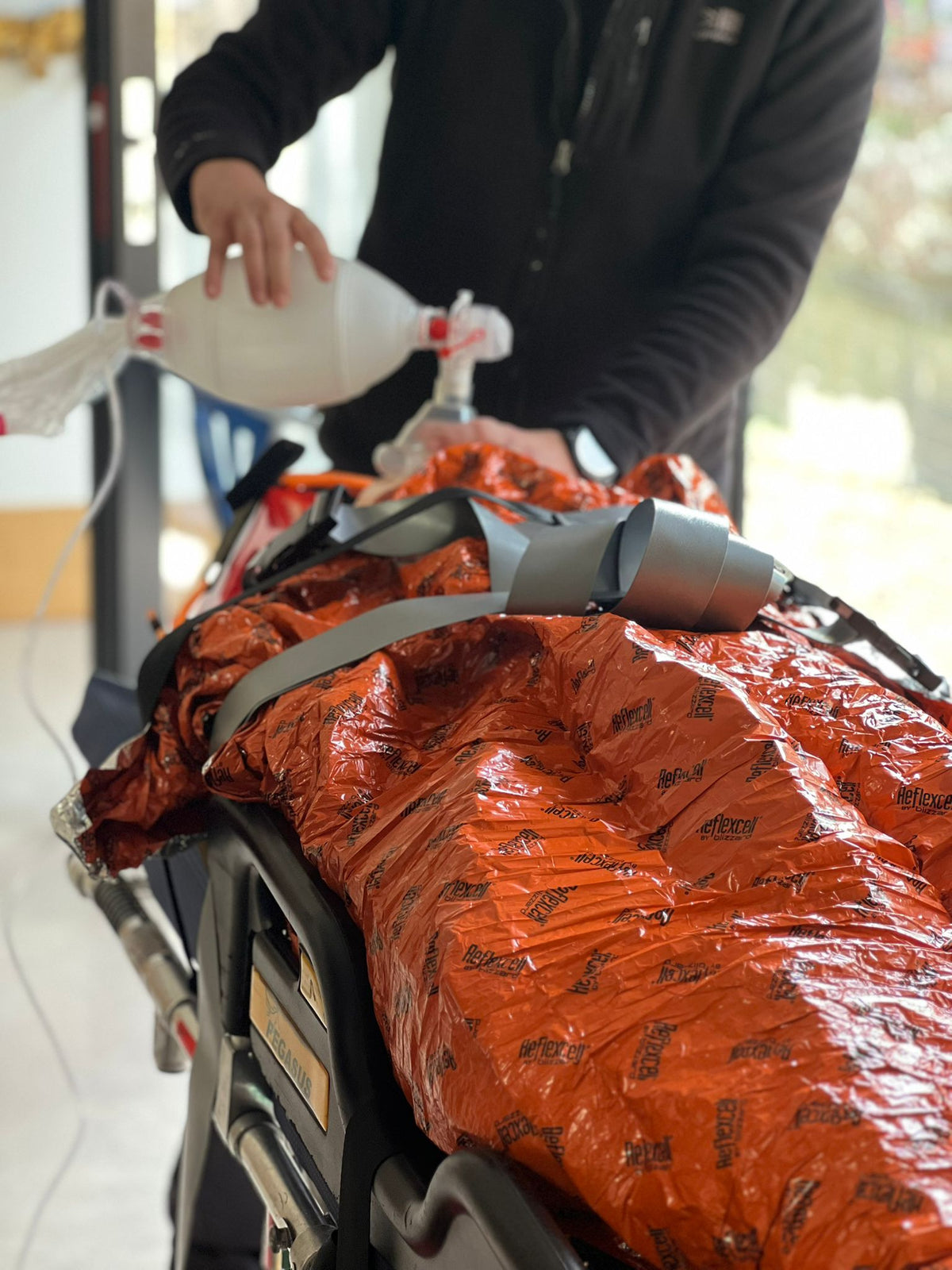Airway and respiratory system