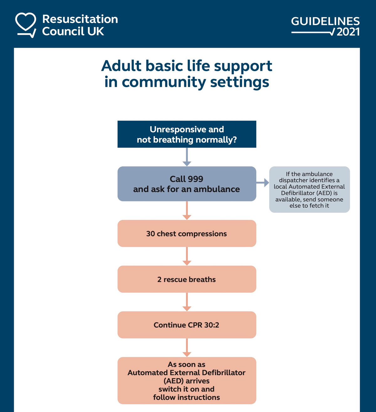 Adult basic life support algorithm