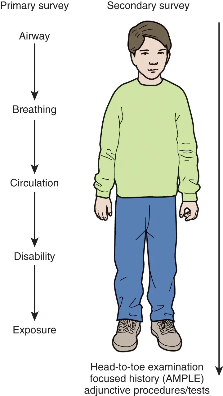 Toe Scale FREC 3 Pre Learning – Apex Medical & Rescue